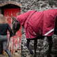 LE Boxter Stable Rug 100g
