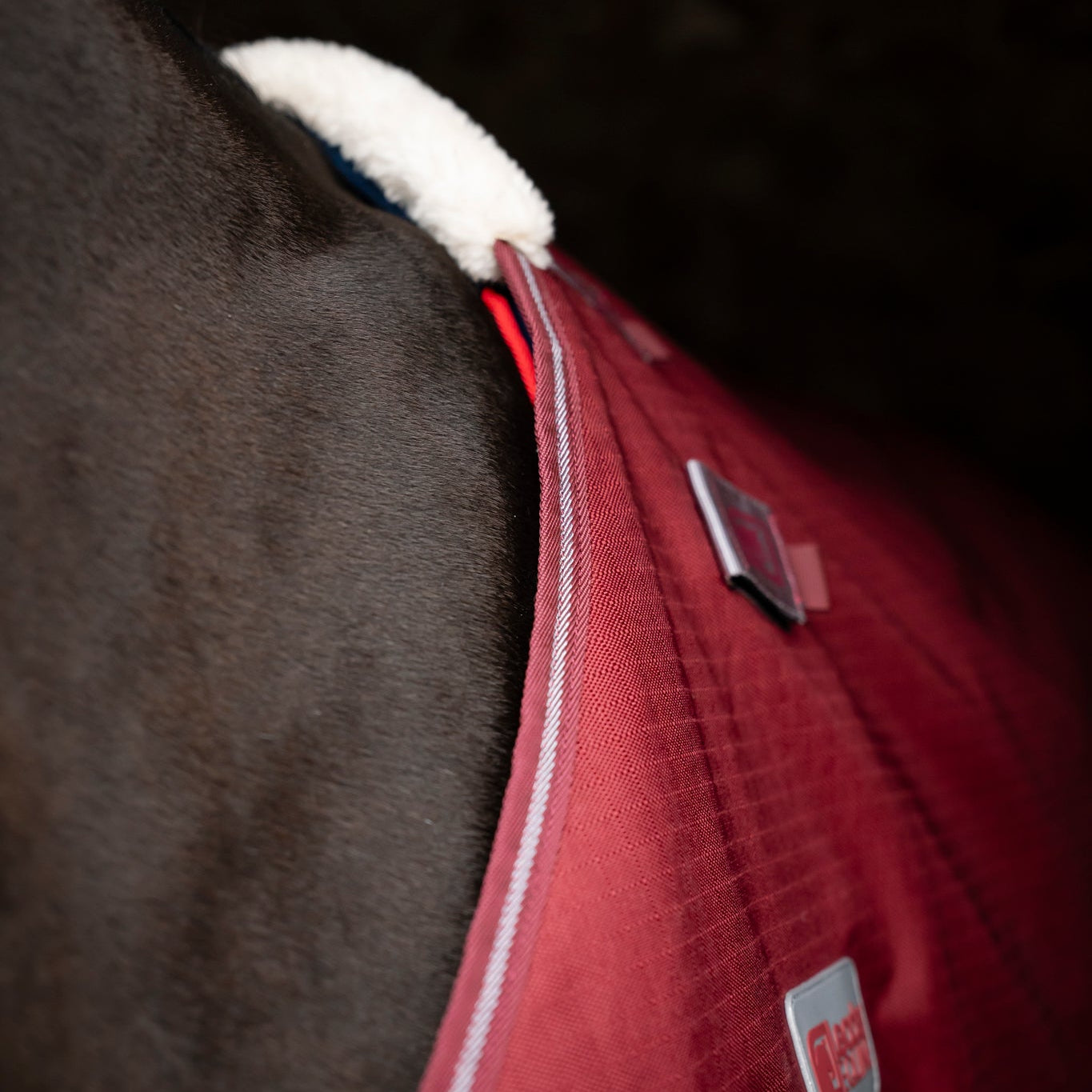 Close-up of a horse wearing a red blanket with a brand logo on a dark background