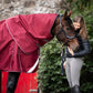 Stable Rug for horses in burgundy with woman in puffer jacket from leader equine