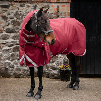 Horse wearing a burgundy rug standing in front of a stone building.