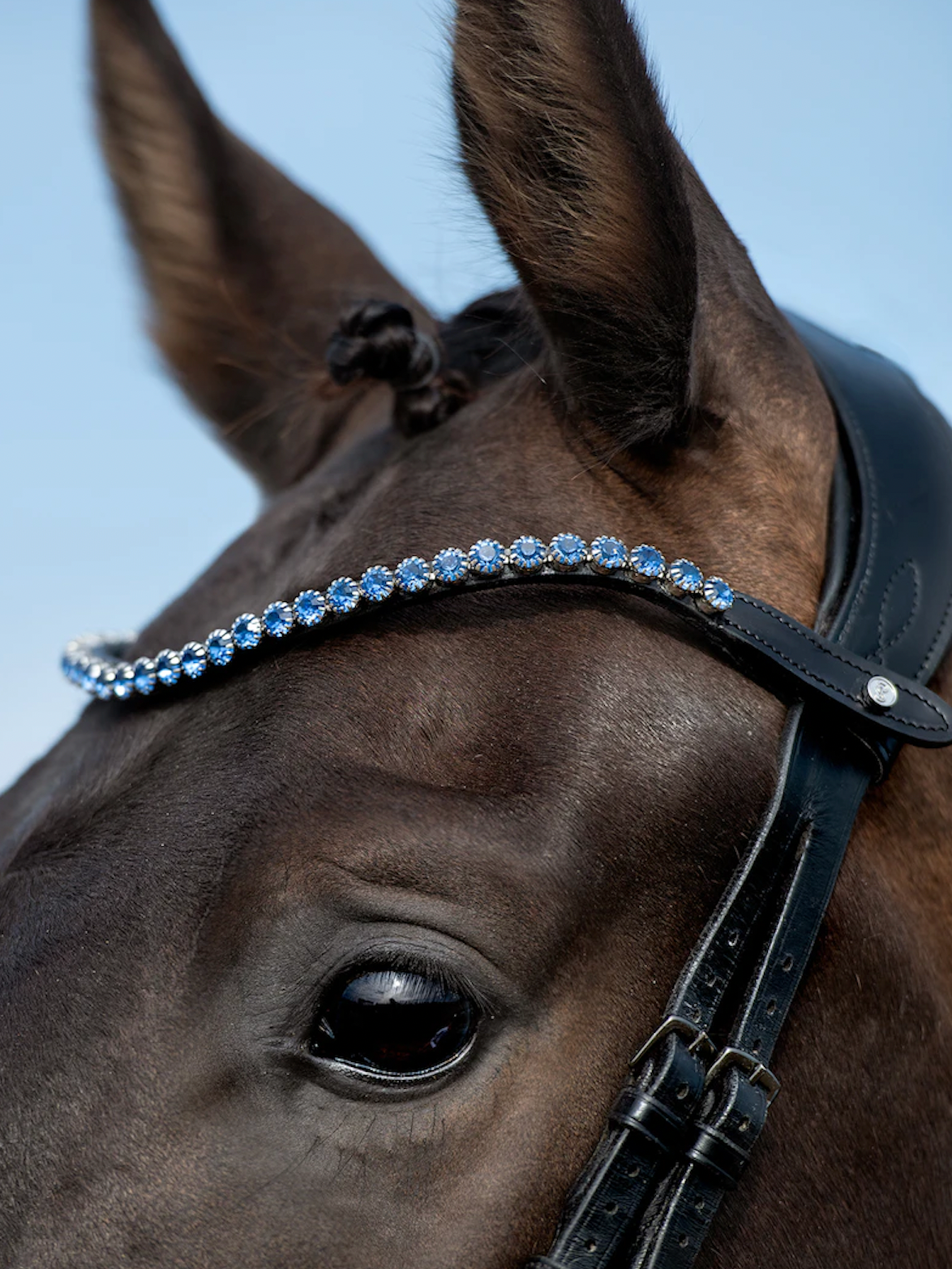 PSOS Browband Big Deep Sapphire