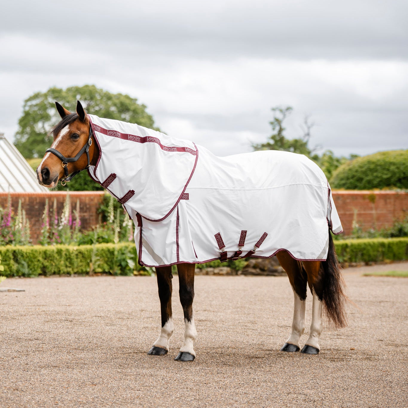 horse wearing a white cotton rug by leader equine
