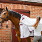 A woman in a ice blue long-sleeve shirt and grey pants is adjusting a white horse blanket with burgundy trim on a brown horse in front of a red brick stable.