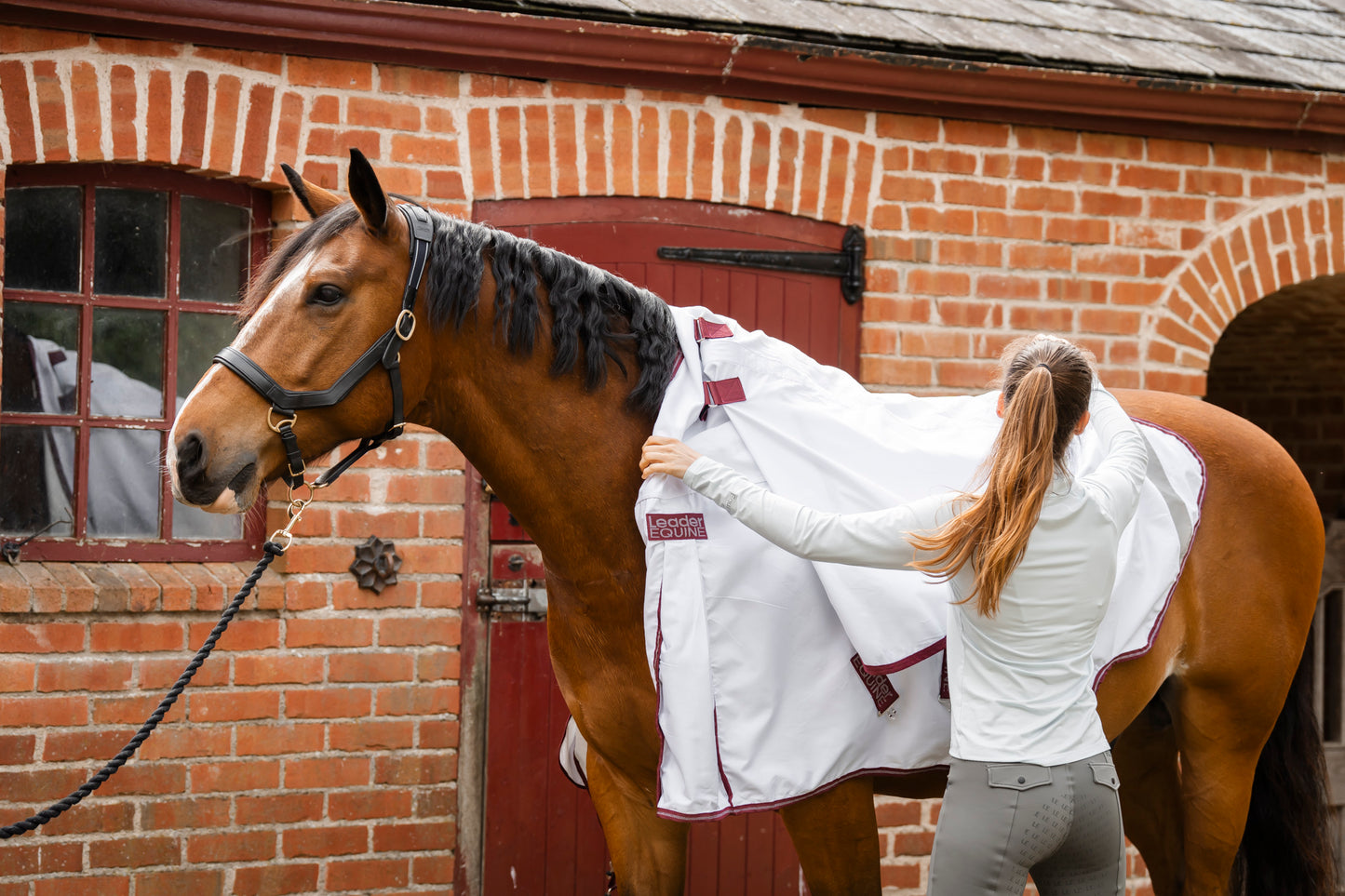 A woman in a ice blue long-sleeve shirt and grey pants is adjusting a white horse blanket with burgundy trim on a brown horse in front of a red brick stable.