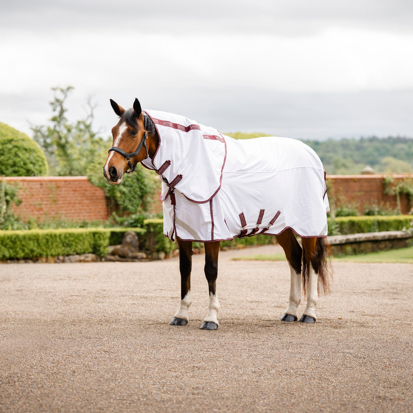 A brown horse standing outdoors on a gravel driveway, wearing a white horse blanket  by leader equine with burgundy trim. The background shows a landscaped garden with hedges, a brick wall, and an overcast sky.