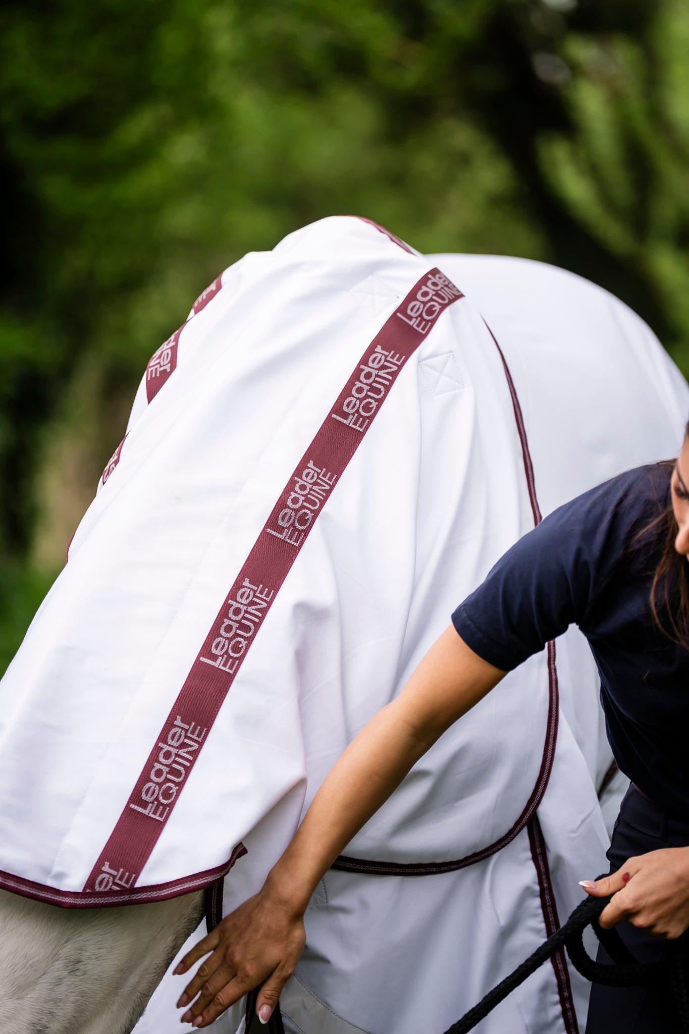 Person adjusting a white horse blanket by leader equine with red trim on a horse, set against a blurred green background.
