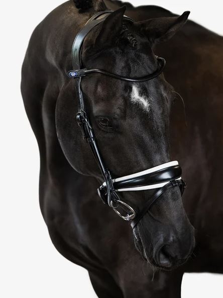 PSOS GP Lacquered Bridle