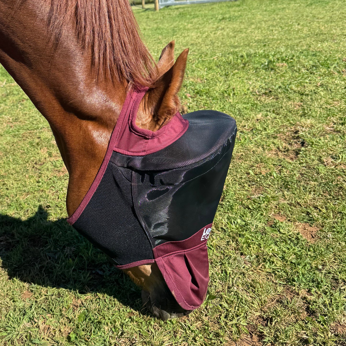 LE Outback Flymask with Nose (no ears)