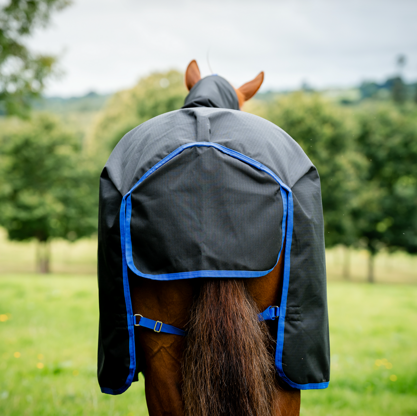 Amigo Ripstop 900D Plus Turnout 0g