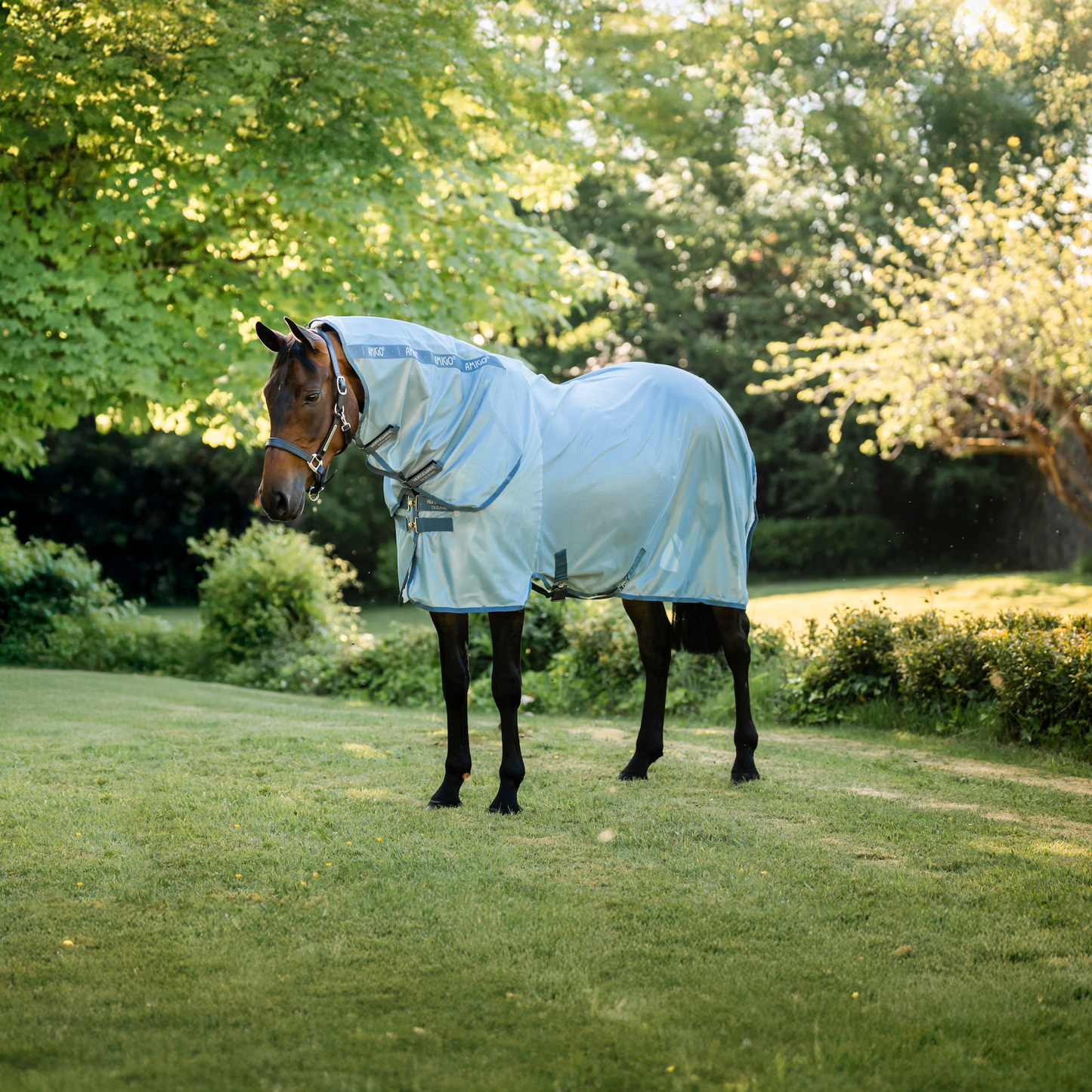 Amigo Integrated Fly Sheet