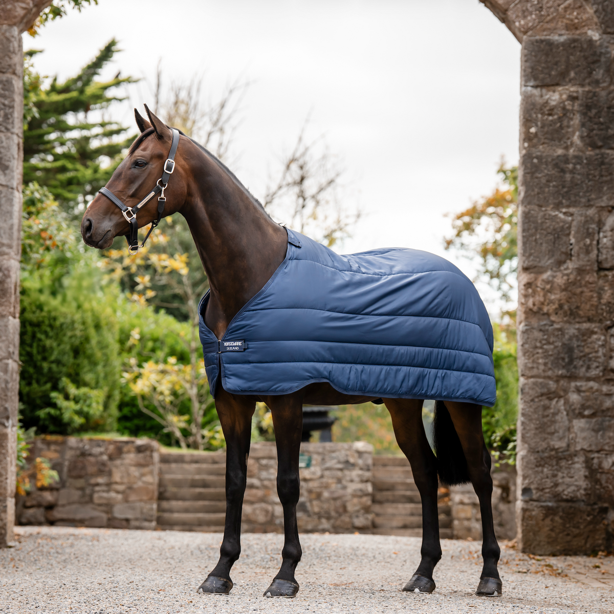Horseware Liner 50g