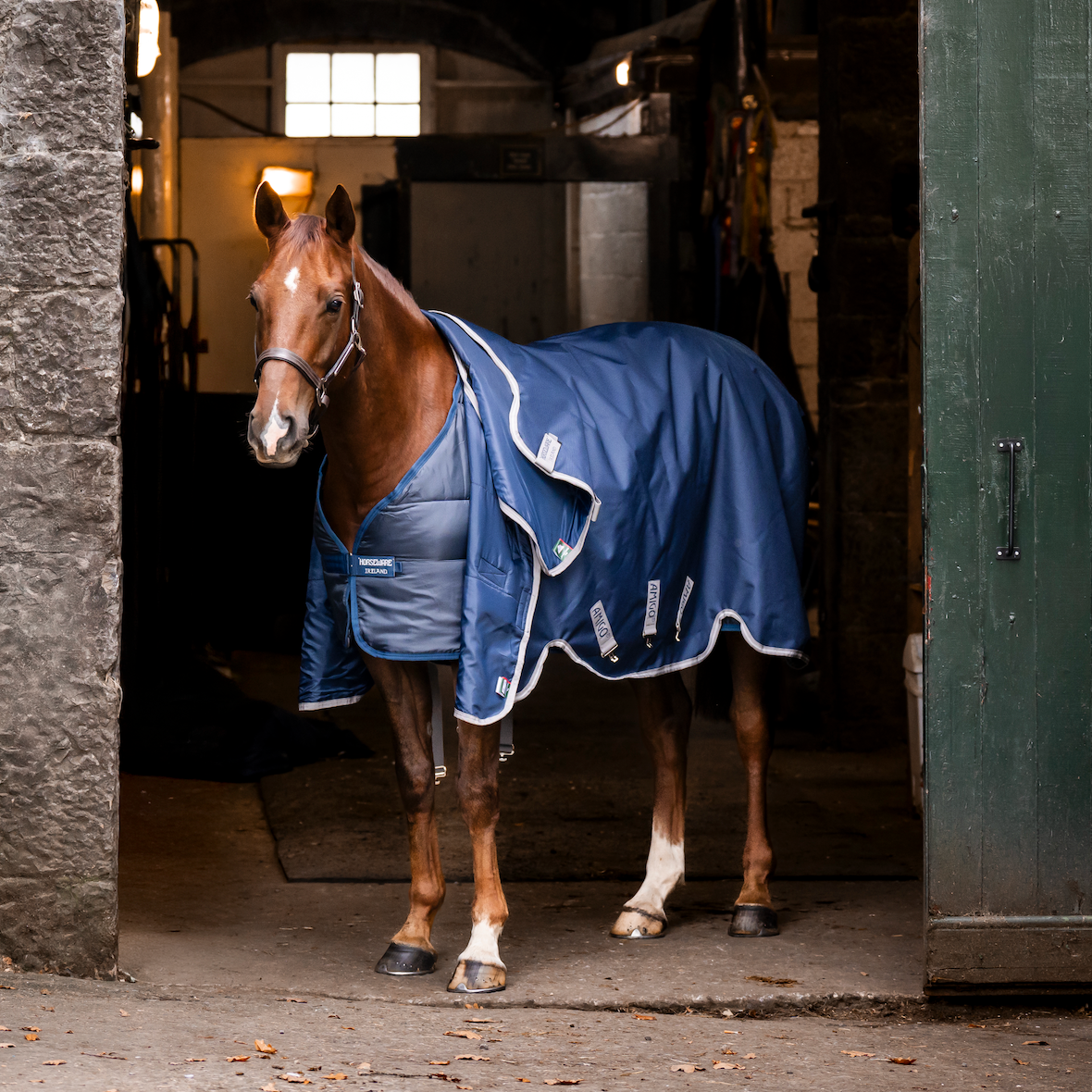 Horseware Liner 50g