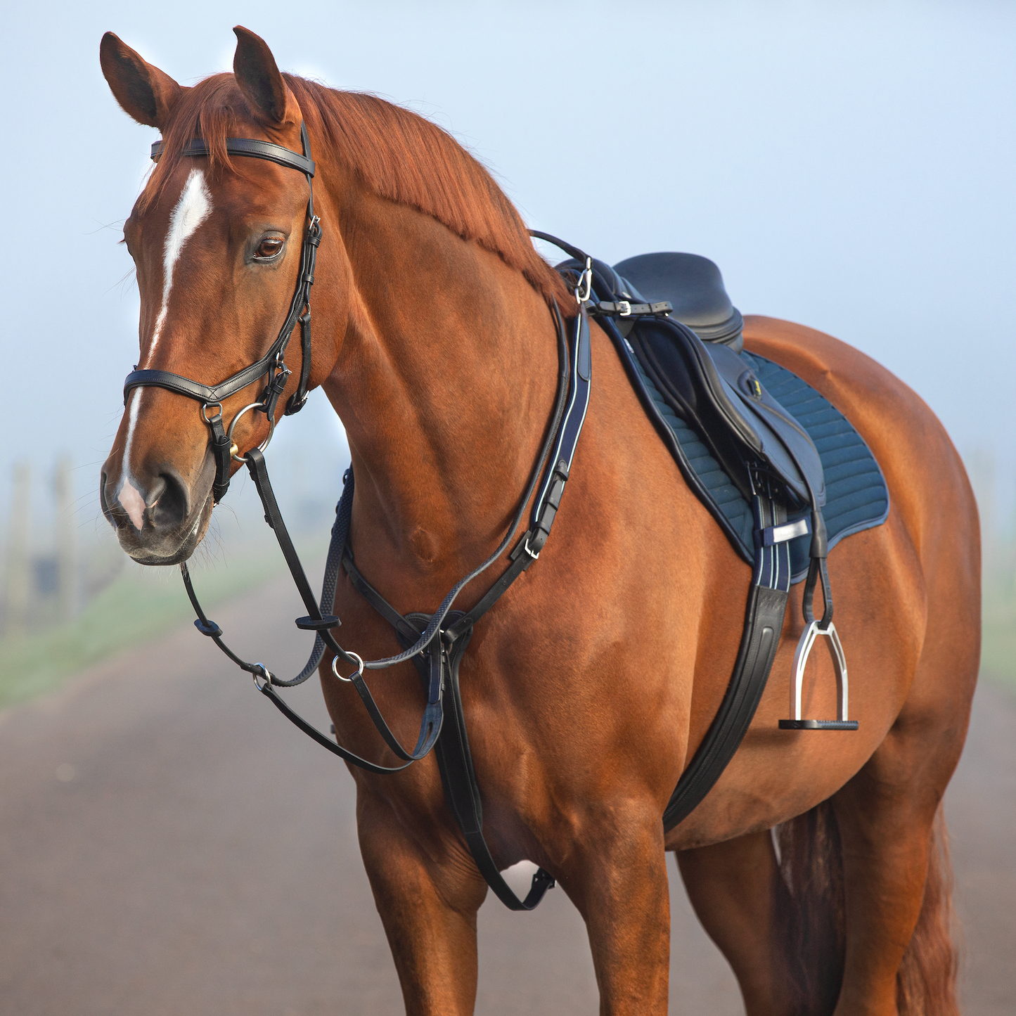Horseware Micklem Breastplate w/martingale