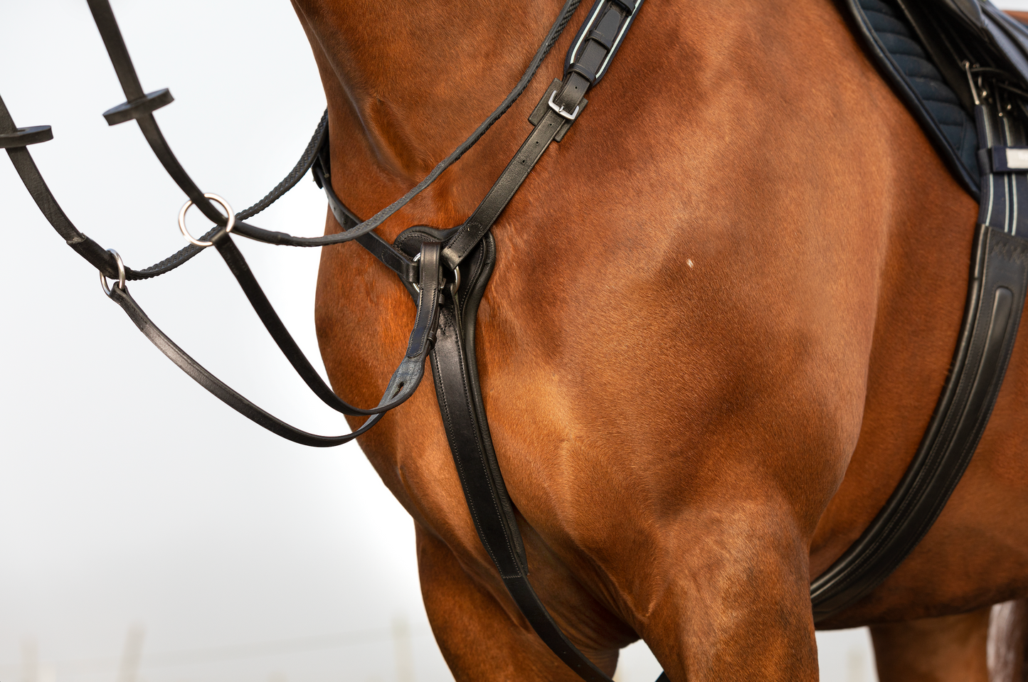 Horseware Micklem Breastplate w/martingale