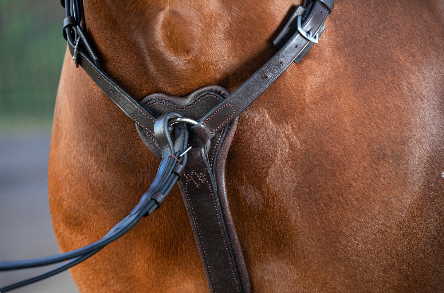 Horseware Micklem Breastplate w/martingale