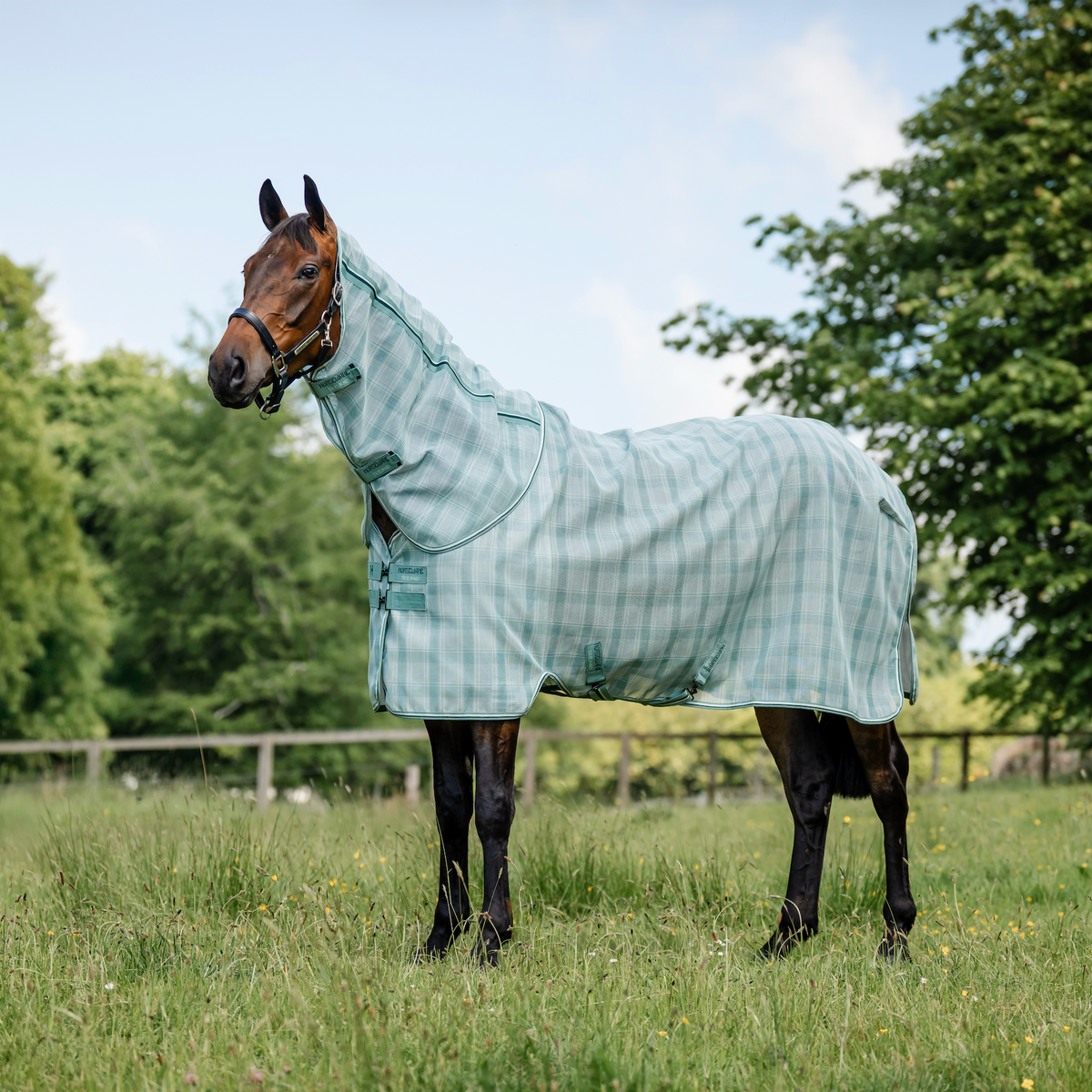 Horseware Newmarket Plus Fly Sheet