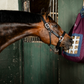 Horseware Revive Haybag