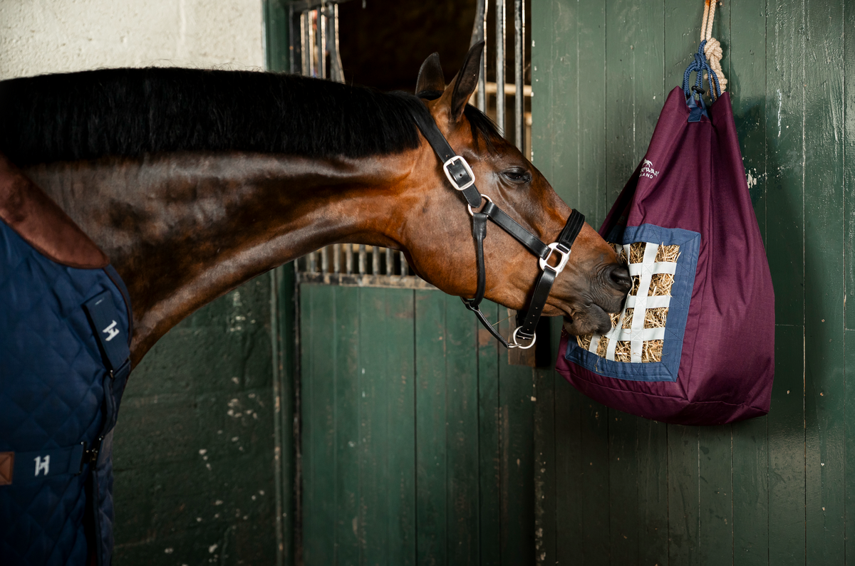 Horseware Revive Haybag