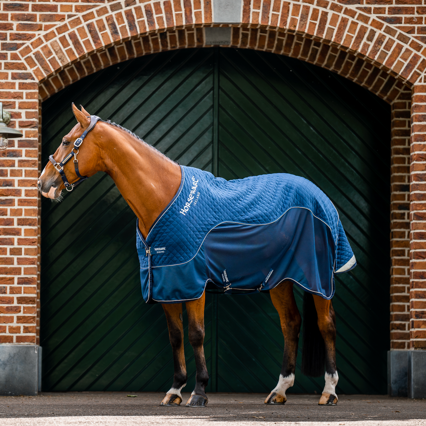 Horseware Signature Travel Cooler