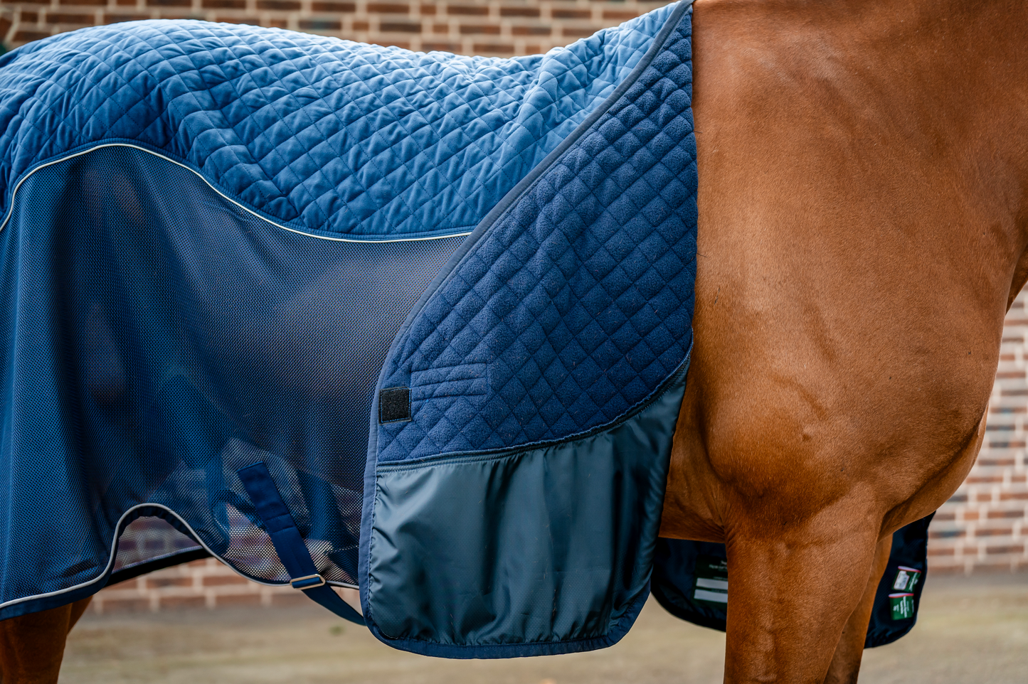 Horseware Signature Travel Cooler