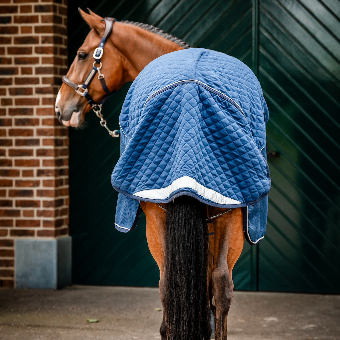 Horseware Signature Travel Cooler