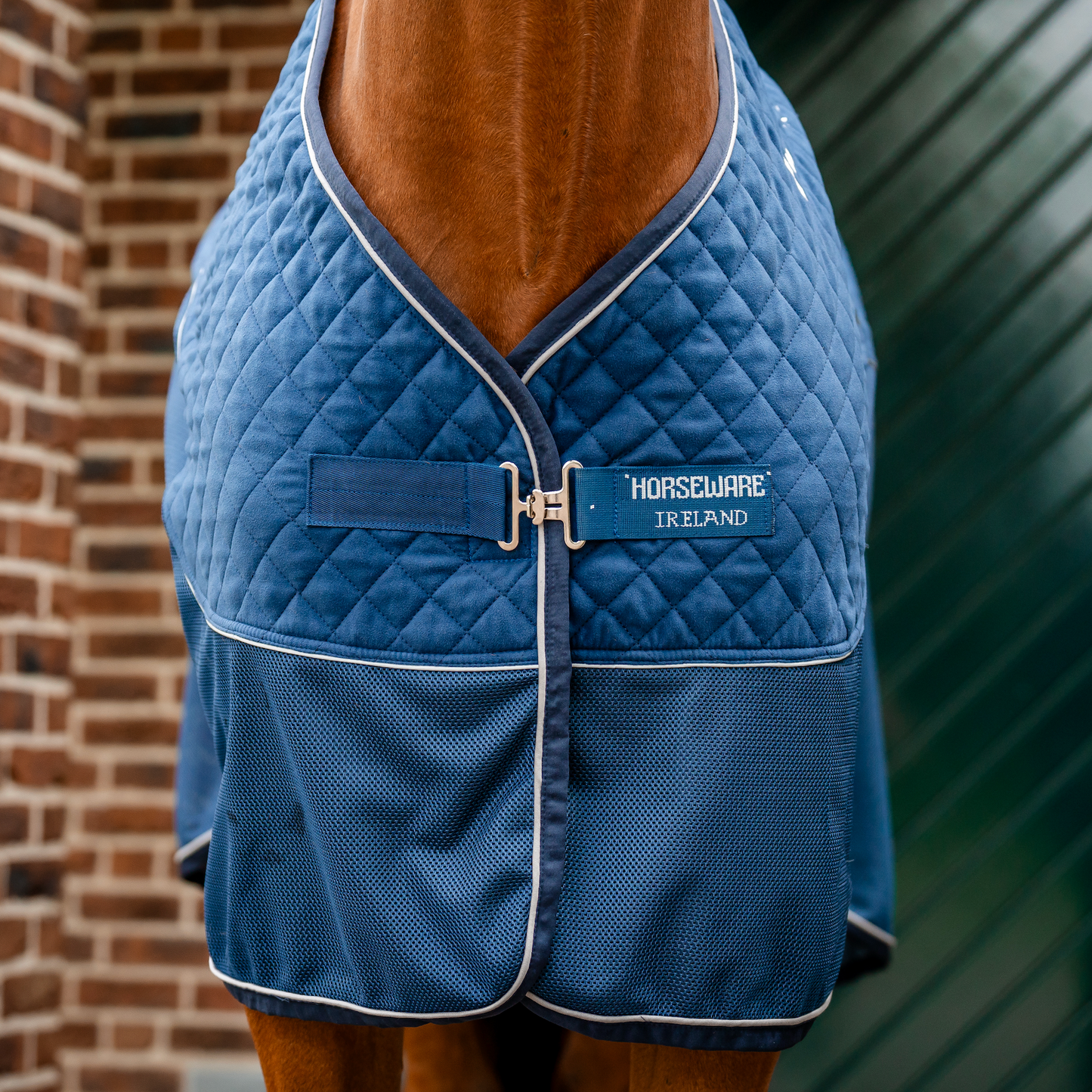 Horseware Signature Travel Cooler