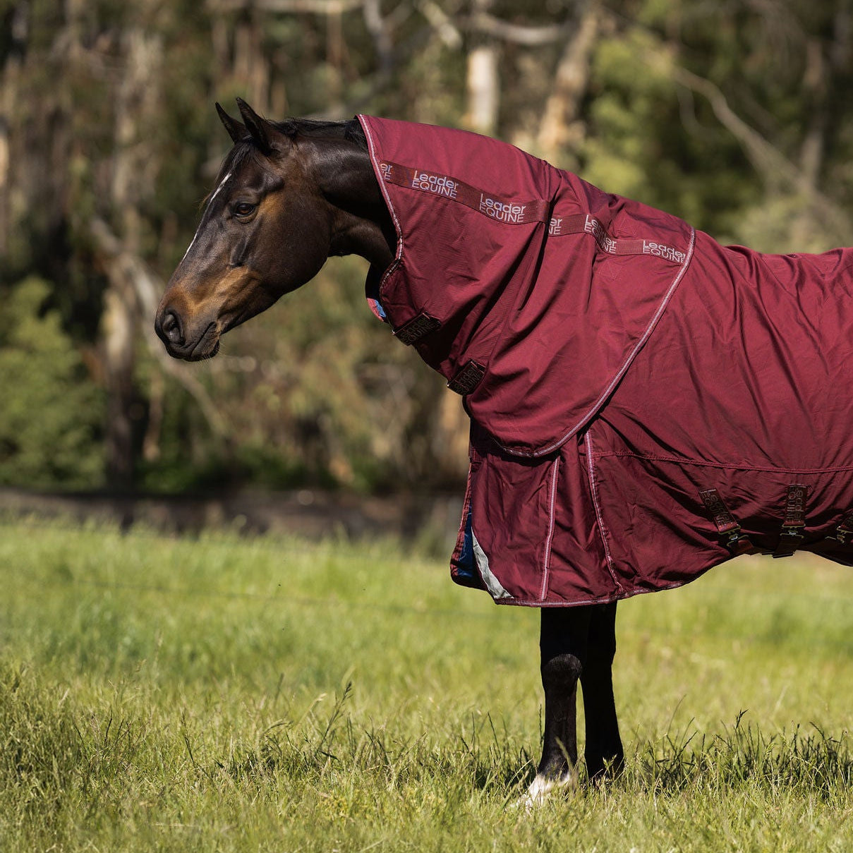 LE Fieldsafe Show Sheet with Full Satin Lining