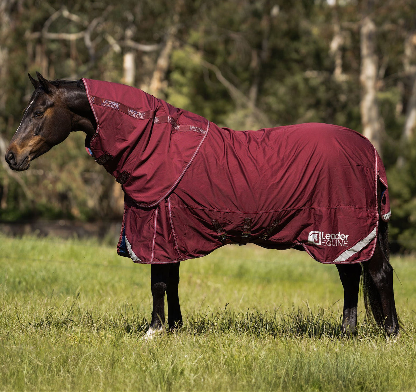 LE Fieldsafe Show Sheet with Full Satin Lining