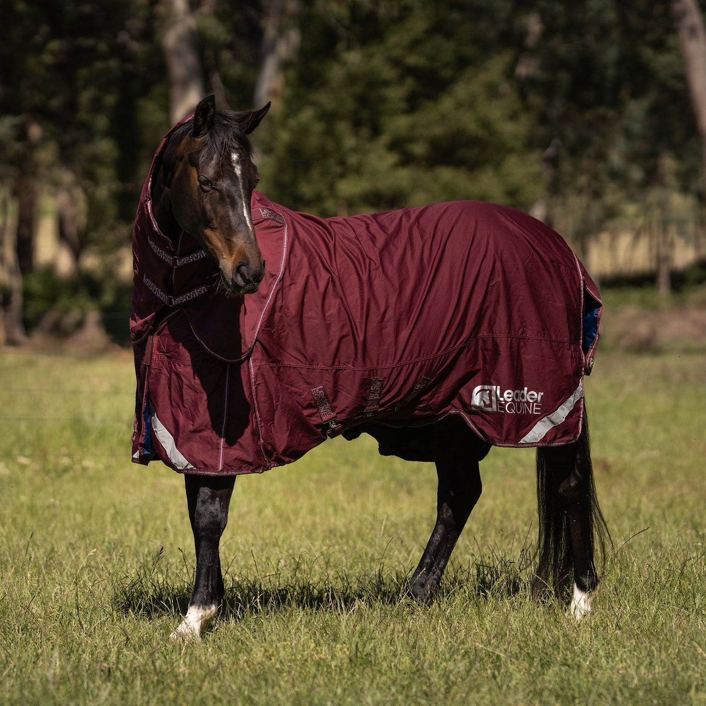 LE Fieldsafe Show Sheet with Full Satin Lining