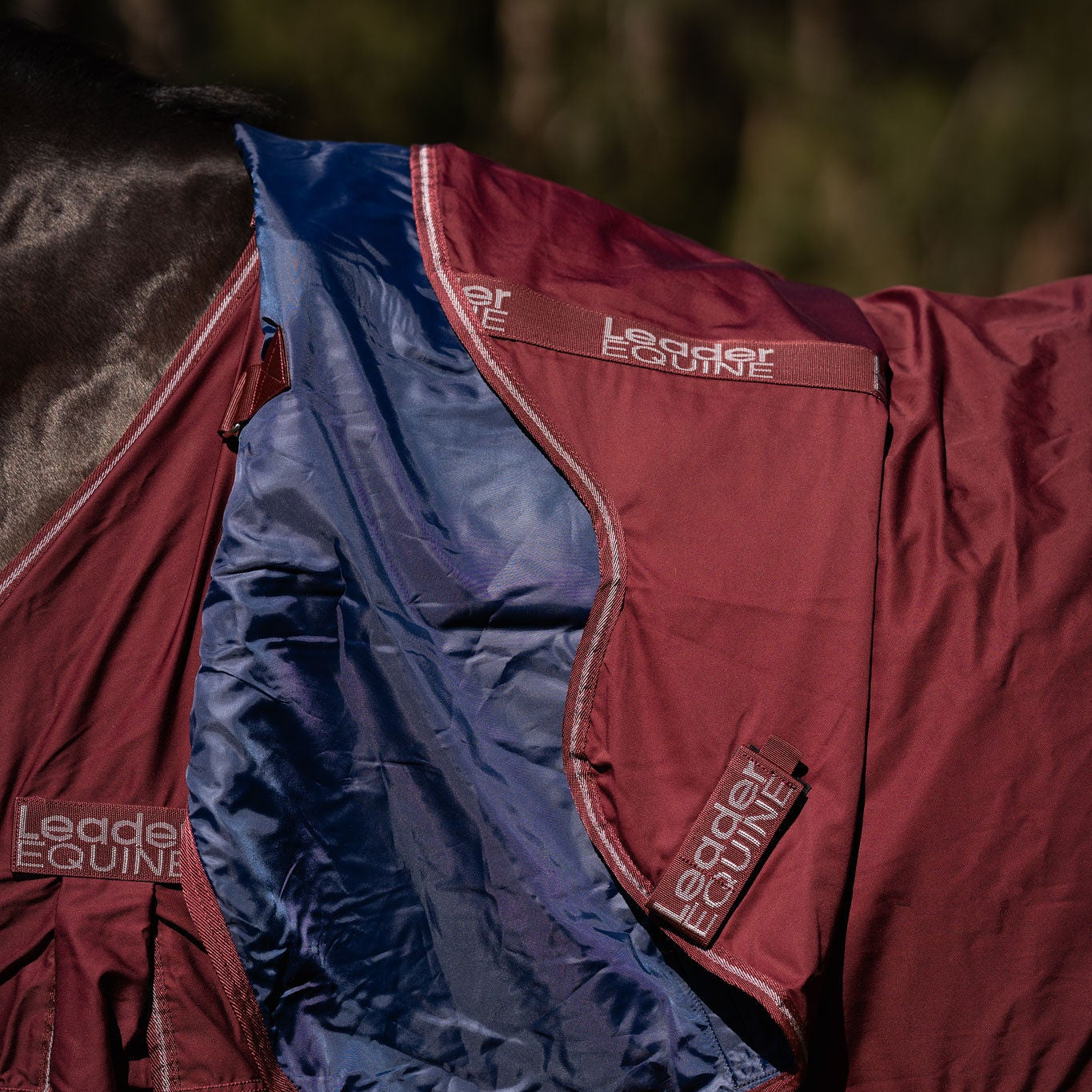 LE Fieldsafe Show Sheet with Full Satin Lining