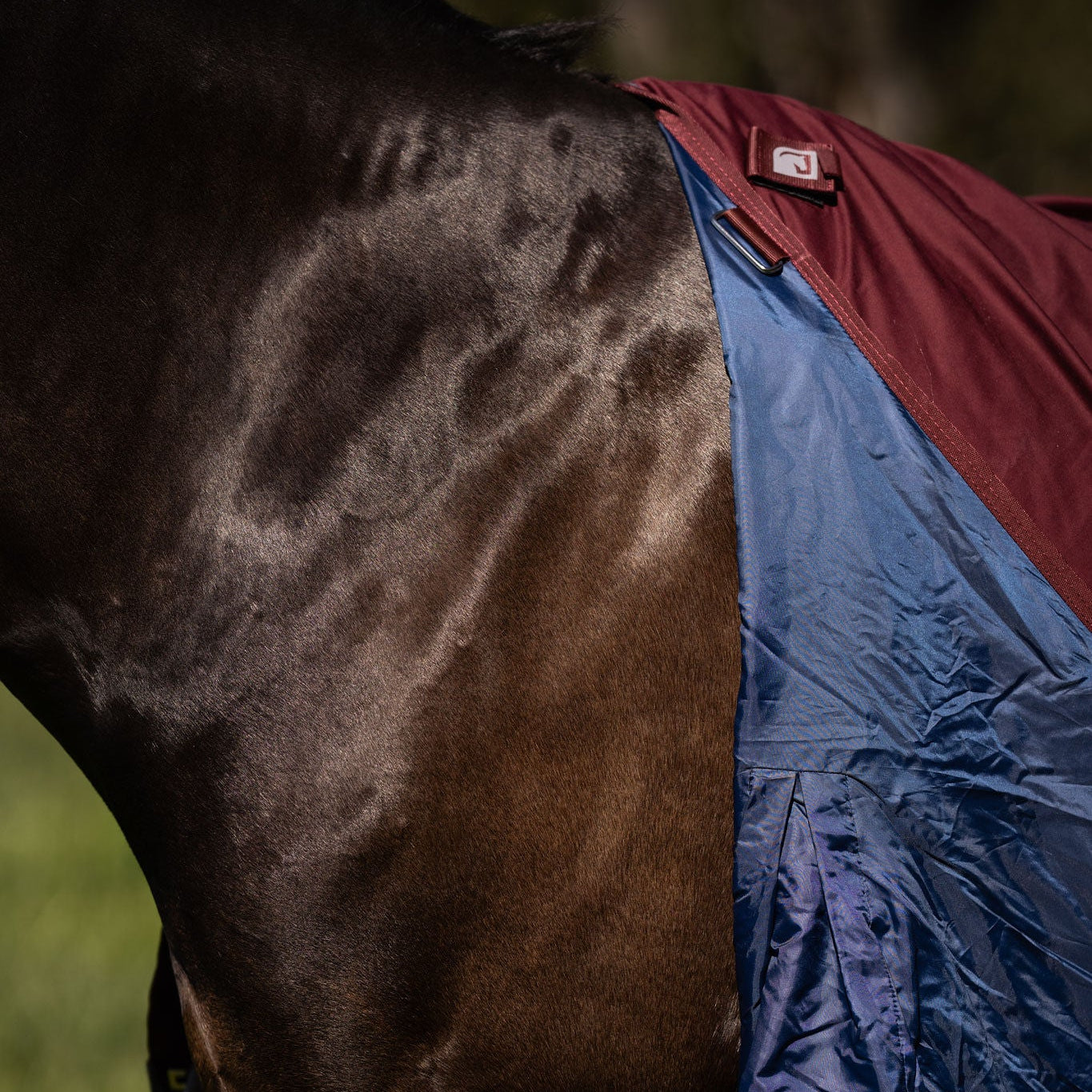 LE Fieldsafe Show Sheet with Full Satin Lining