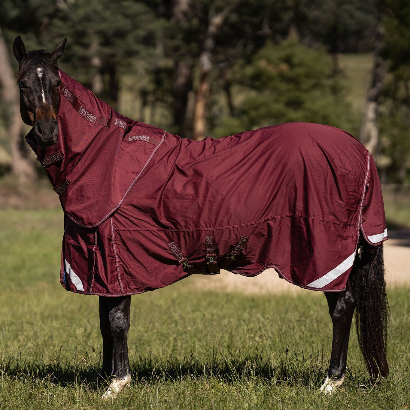 LE Fieldsafe Universal Cotton Sheet