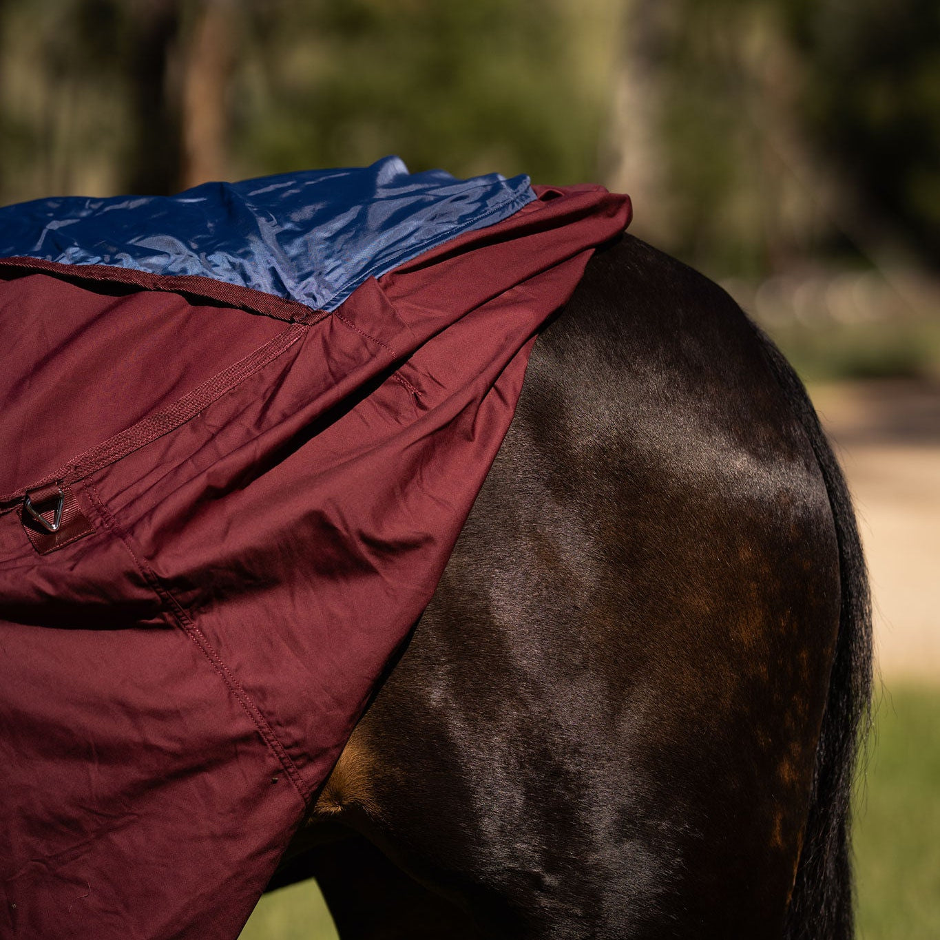 LE Fieldsafe Universal Cotton Sheet