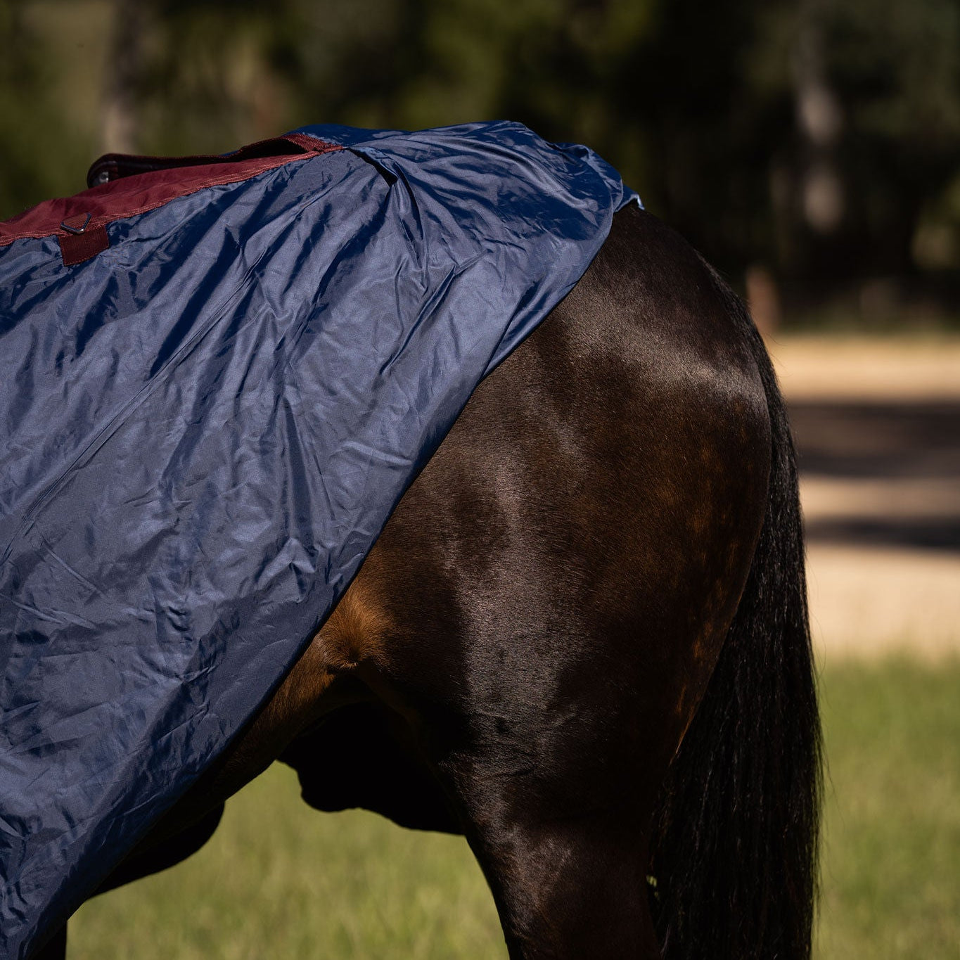 LE Fieldsafe Show Sheet with Full Satin Lining