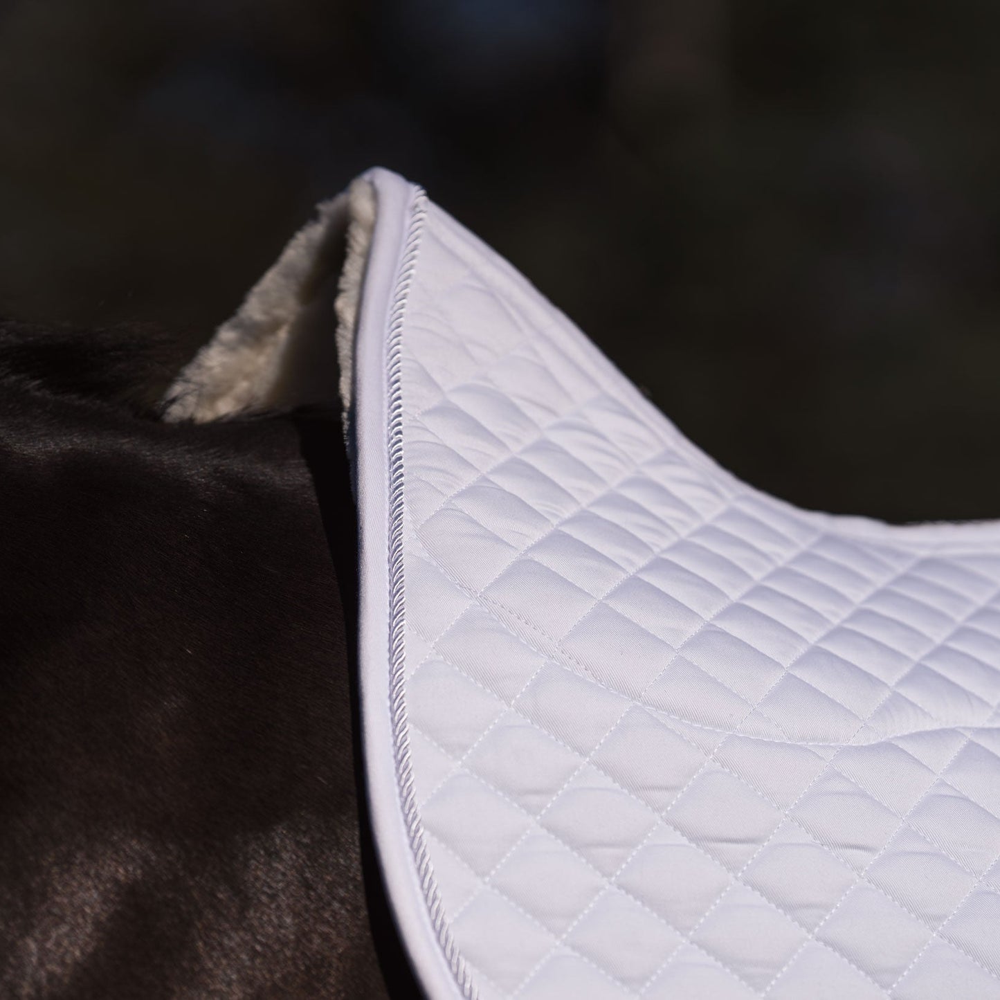 LE Performance Jump Saddle Pad Classic