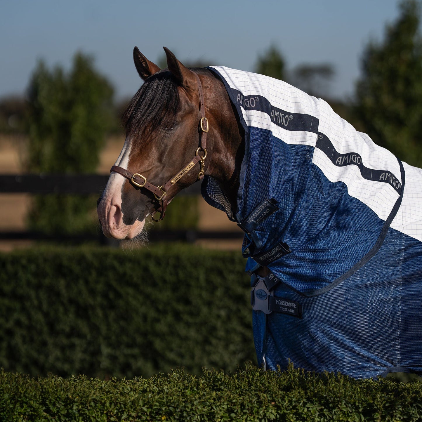 Amigo Helix Airflow Disc Front