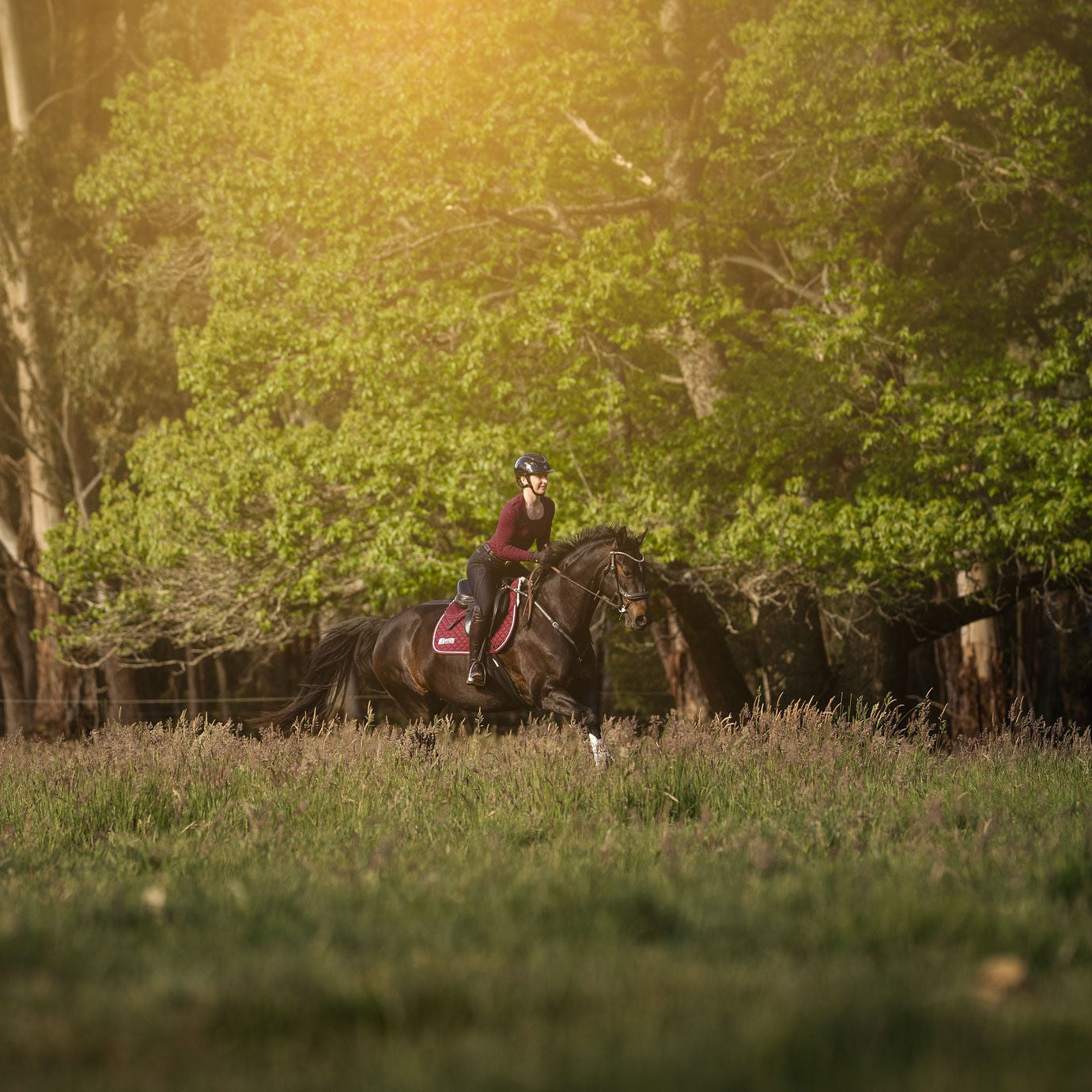 LE Performance Jump Saddle Pad with Shims