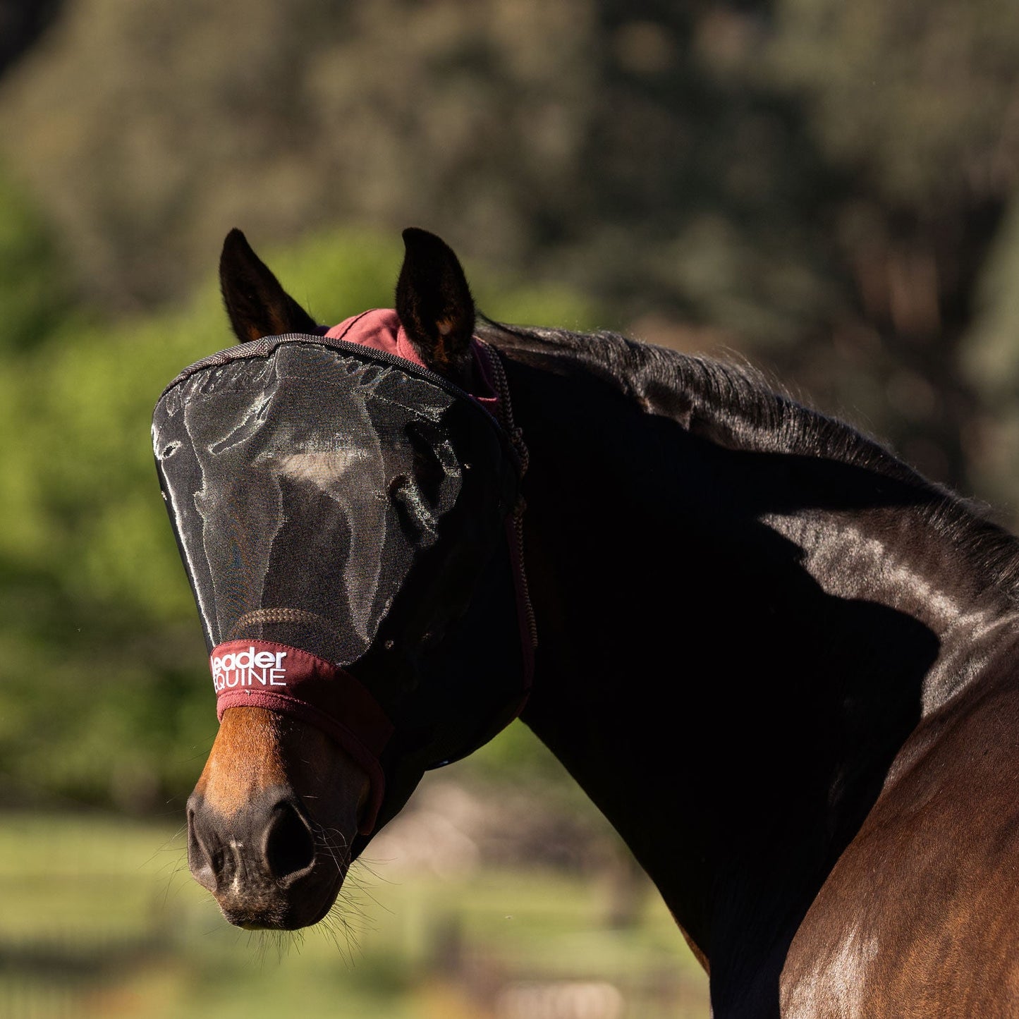 LE Outback Fly Mask Original