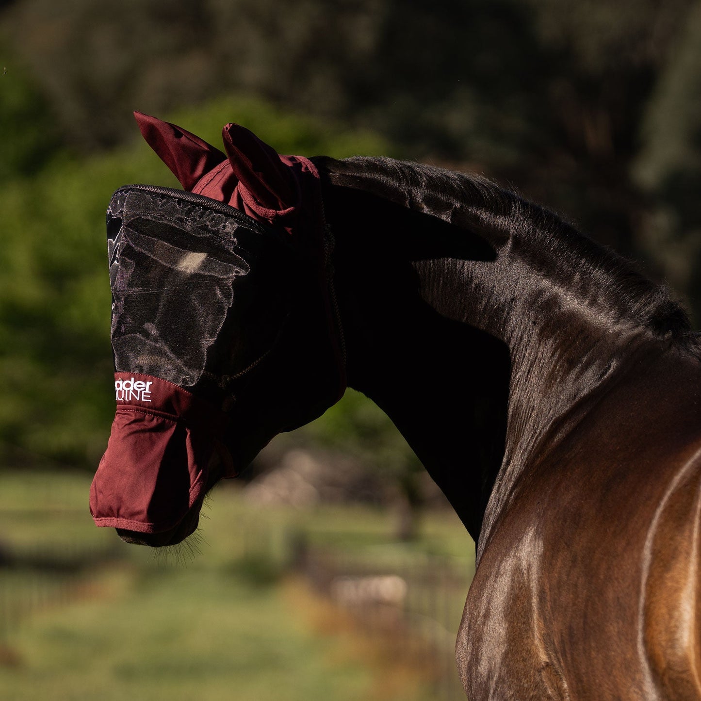 LE Outback Flymask with Ears & Nose