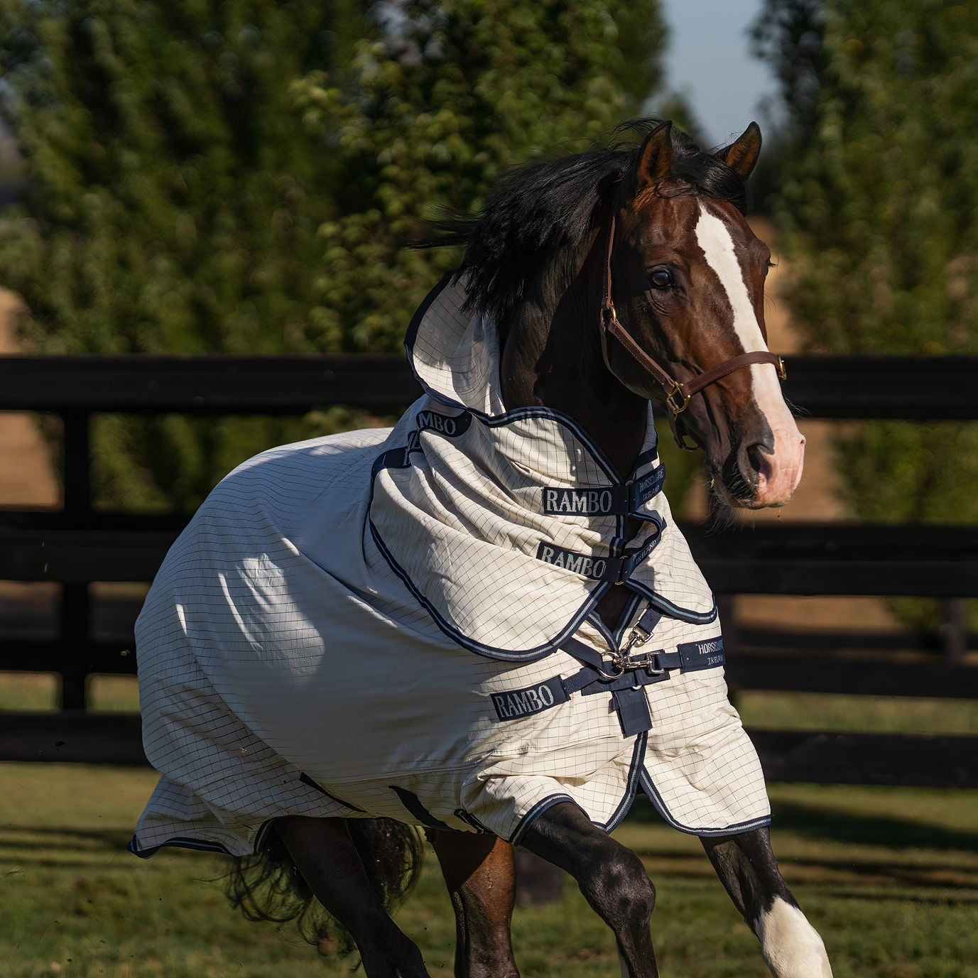 Rambo Allrounder V-Front