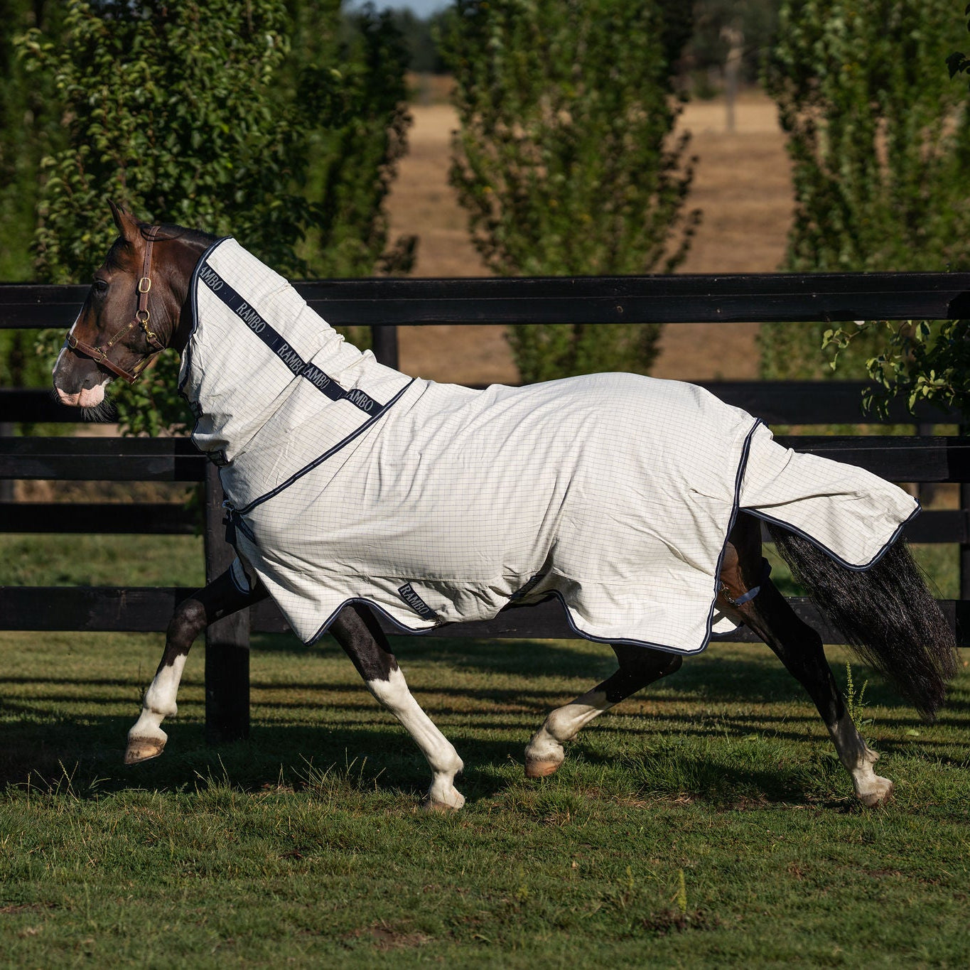 Rambo Allrounder V-Front