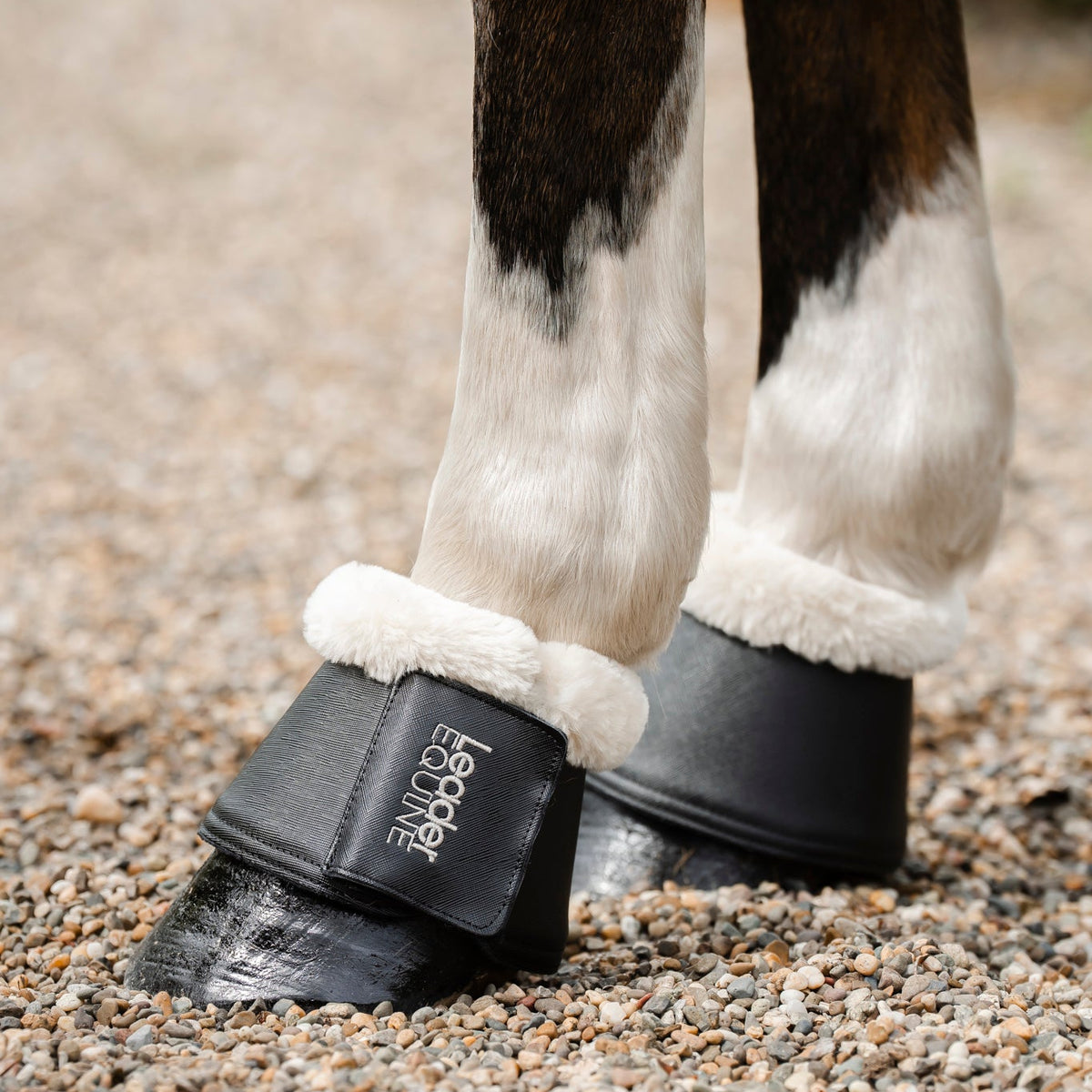 Black bell boots with white faux-fur trim worn on a horse's legs with leader equine logo, standing on a gravel ground.
