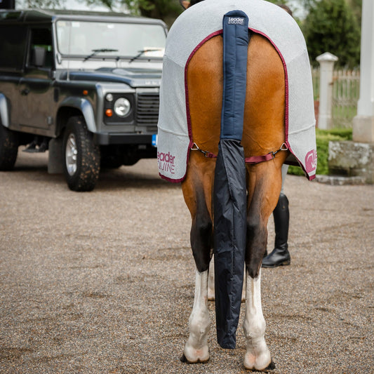 bay horse wearing grey cooler rug with tail wrap and tail bag on tail in navy