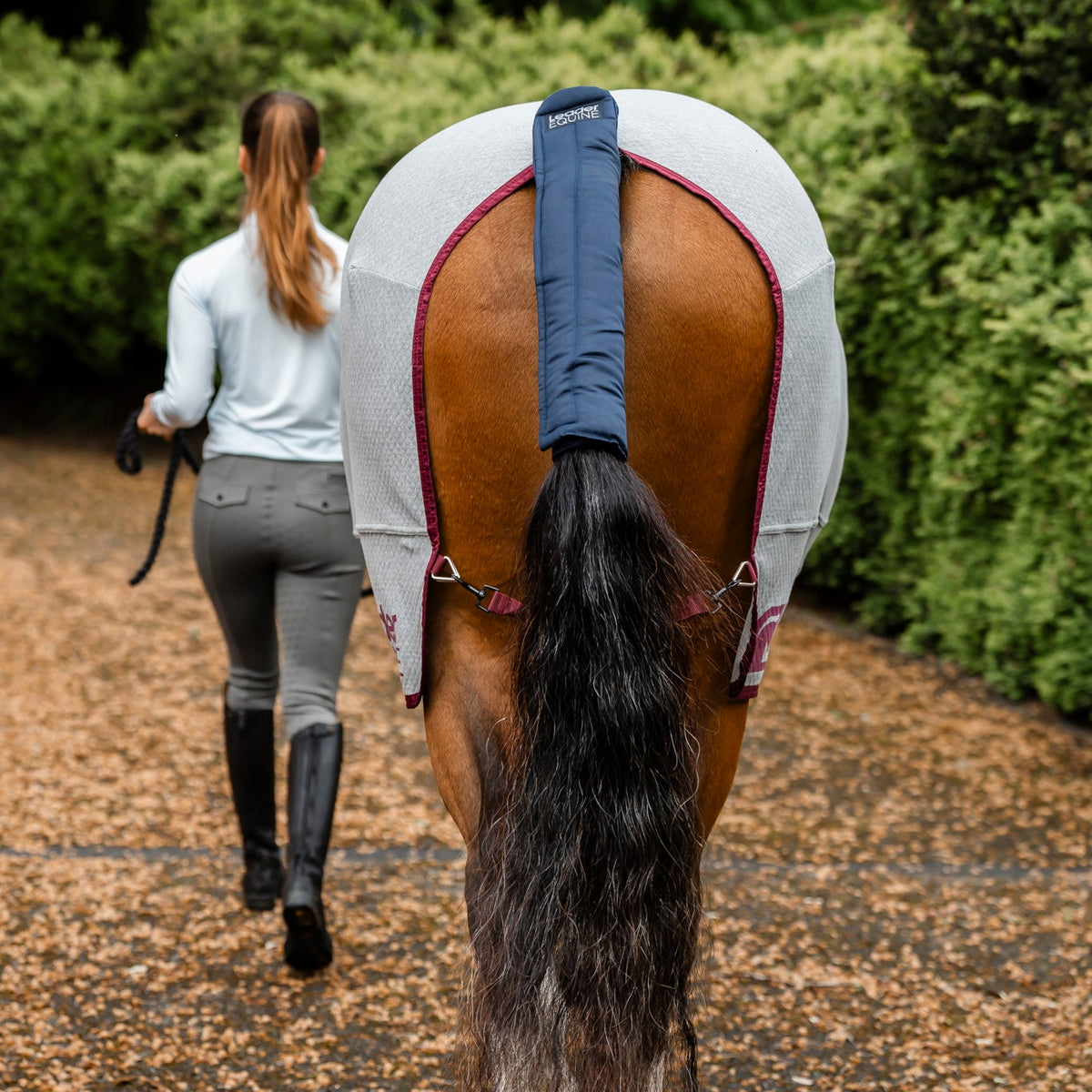 bay horse from behind wearing grey cooler rug and tail wrap on top part of tail in navy