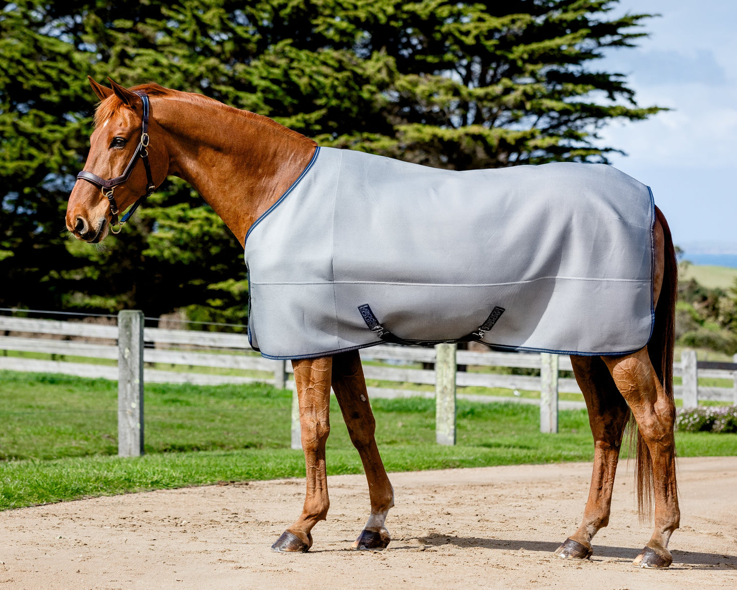 LE 3D Air Cooler Rug with Fieldsafe Front