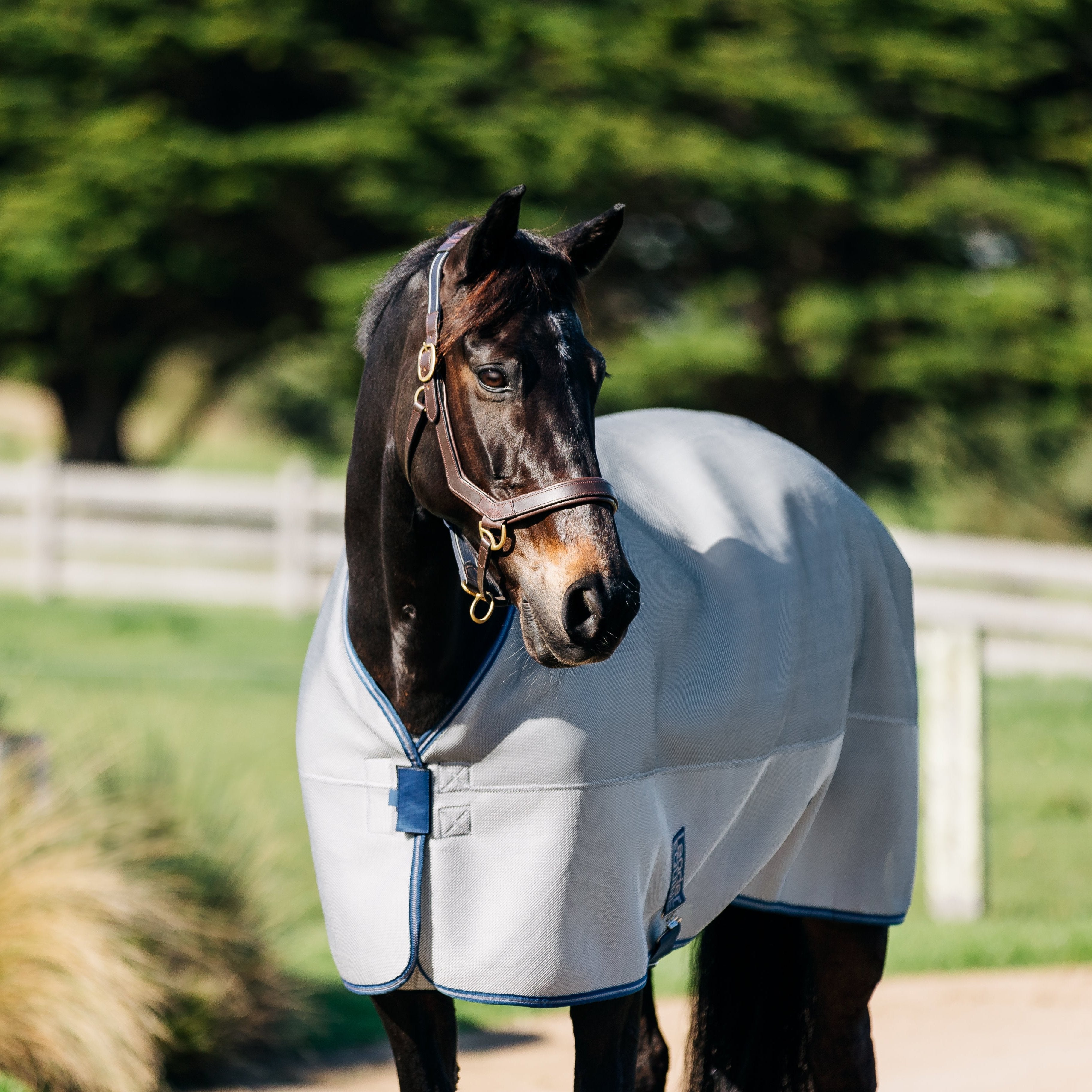 LE 3D Air Cooler Rug with Fieldsafe Front – Leader Equine