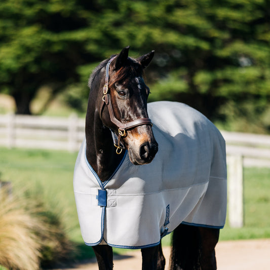 LE Cooler, Travel & Show Rugs – Leader Equine