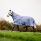 Horse wearing a blue leader equine boxter turnout rug walking on grass with a blurred background