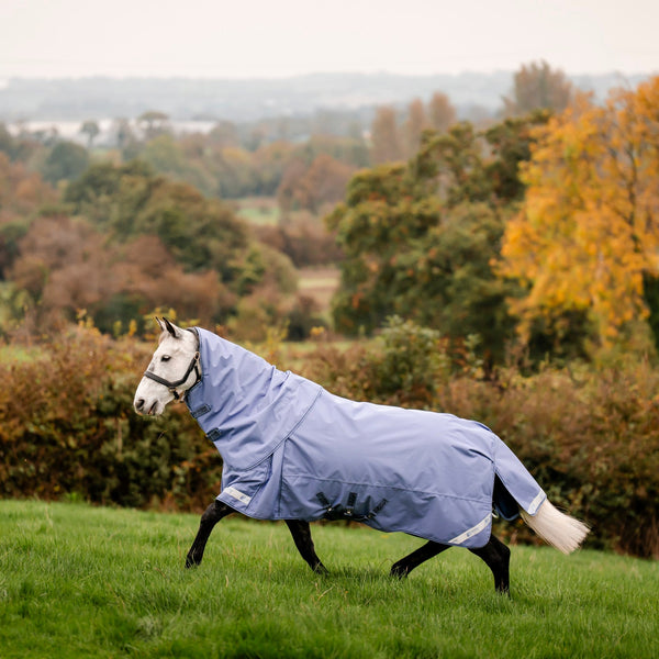Horse wearing a blue leader equine boxter turnout rug in a grassy field with trees in the background
