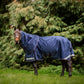 Horse wearing a blue leader equine boxter turnout rug in a grassy area with trees